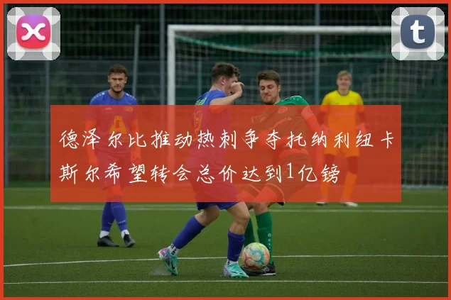 德泽尔比推动热刺争夺托纳利纽卡斯尔希望转会总价达到1亿镑