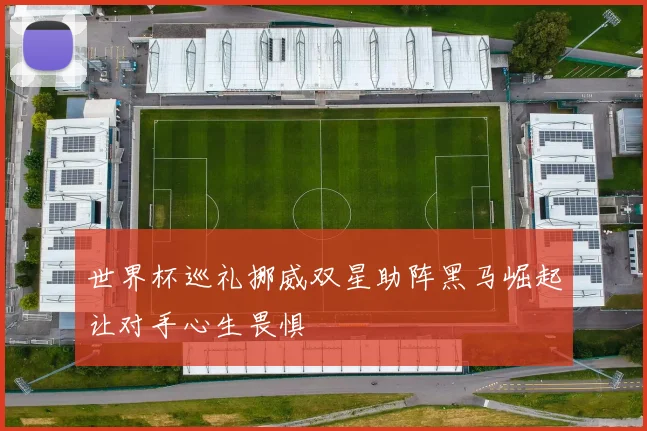 世界杯巡礼挪威双星助阵黑马崛起让对手心生畏惧